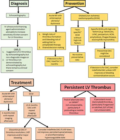 lv thrombus doac 2021|lv thrombus treatment guidelines.